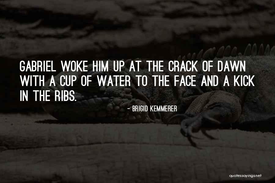 Storici Dogi Quotes By Brigid Kemmerer Storici Dogi Quotes By Brigid Kemmerer