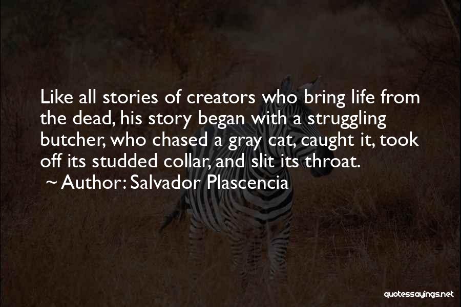 Stories And Imagination Quotes By Salvador Plascencia