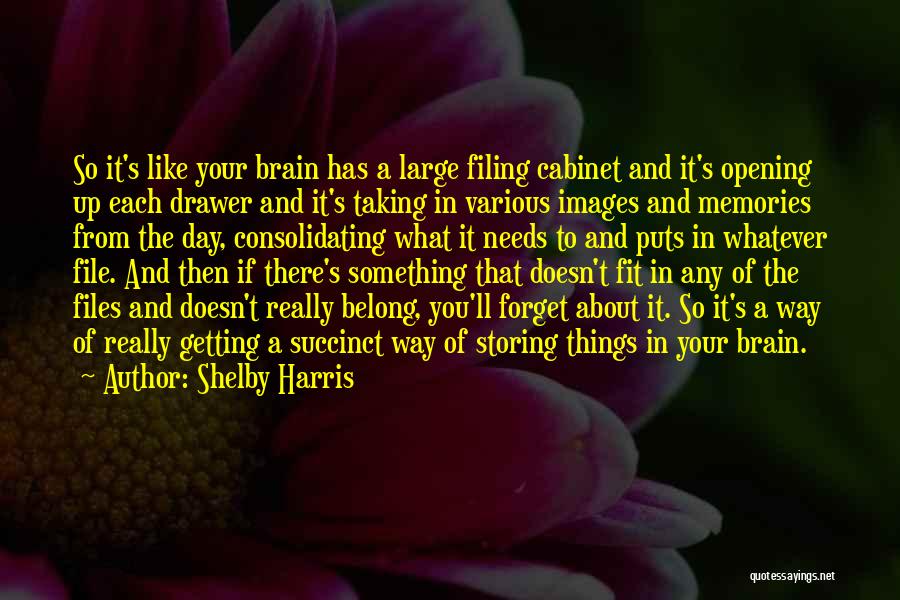 Storing Memories Quotes By Shelby Harris