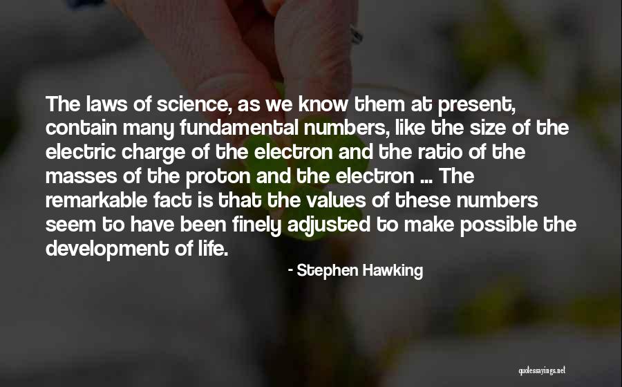 Storleksguide Quotes By Stephen Hawking Storleksguide Quotes By Stephen Hawking