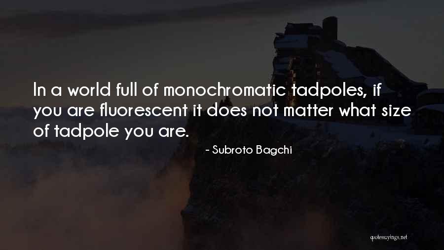 Storlien Stuga Quotes By Subroto Bagchi Storlien Stuga Quotes By Subroto Bagchi