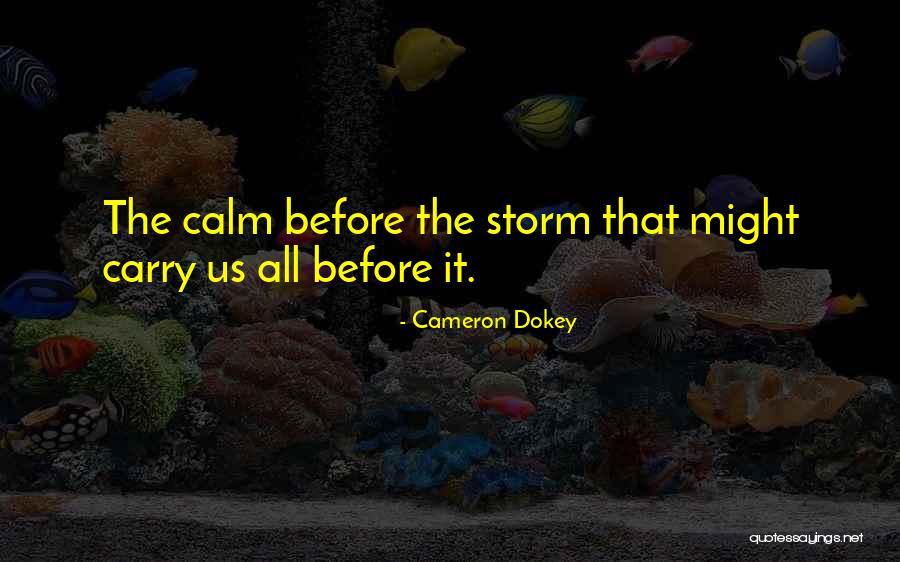 Storm Before Calm Quotes By Cameron Dokey