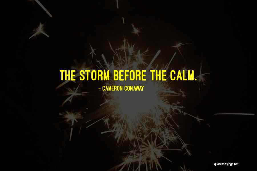 Storm Before The Calm Quotes By Cameron Conaway Storm Before The Calm Quotes By Cameron Conaway