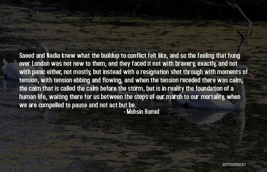 Storm Before The Calm Quotes By Mohsin Hamid Storm Before The Calm Quotes By Mohsin Hamid