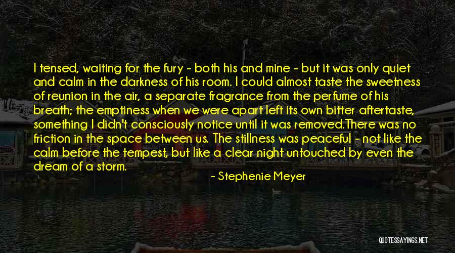Storm Before The Calm Quotes By Stephenie Meyer Storm Before The Calm Quotes By Stephenie Meyer