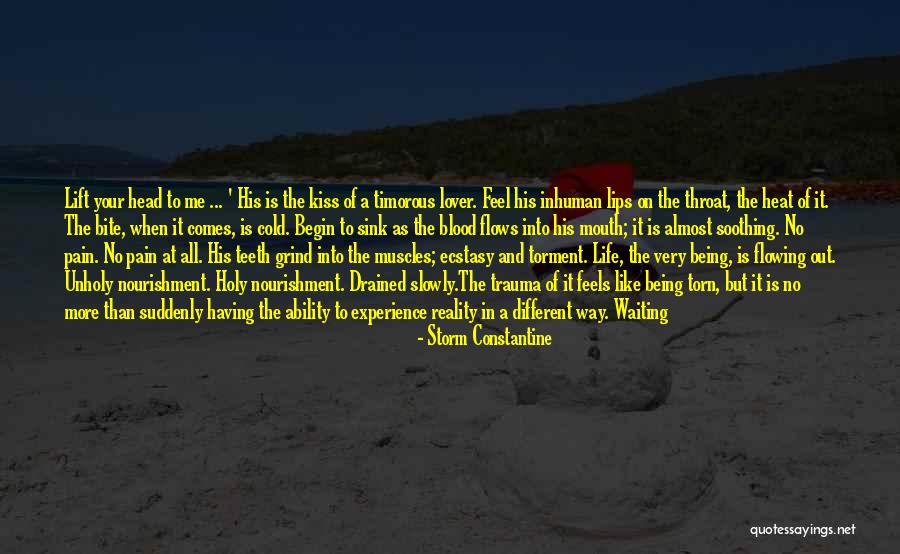 Storm Constantine Quotes 1378707 Storm Constantine Quotes 1378707