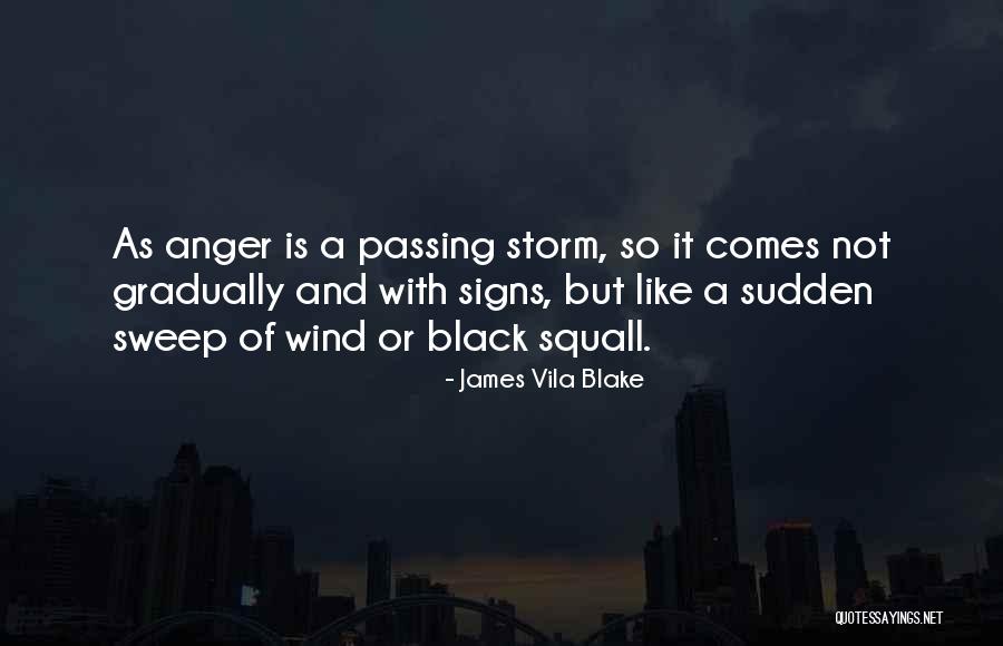 Storm Passing Quotes By James Vila Blake