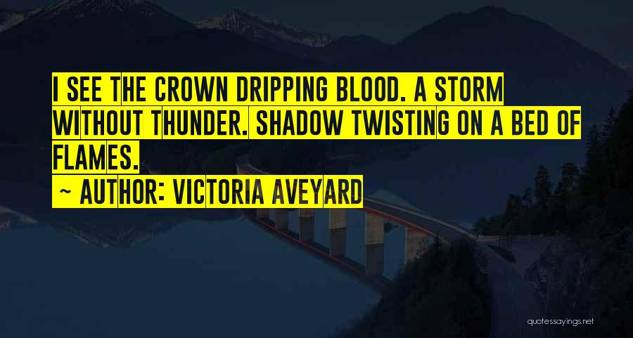 Storm Shadow Quotes By Victoria Aveyard