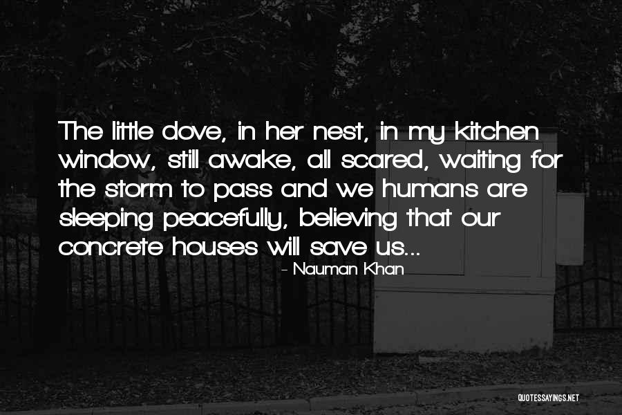 Storm To Pass Quotes By Nauman Khan Storm To Pass Quotes By Nauman Khan