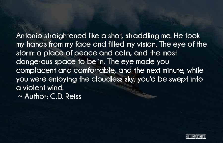 Storm Wind Quotes By C.D. Reiss