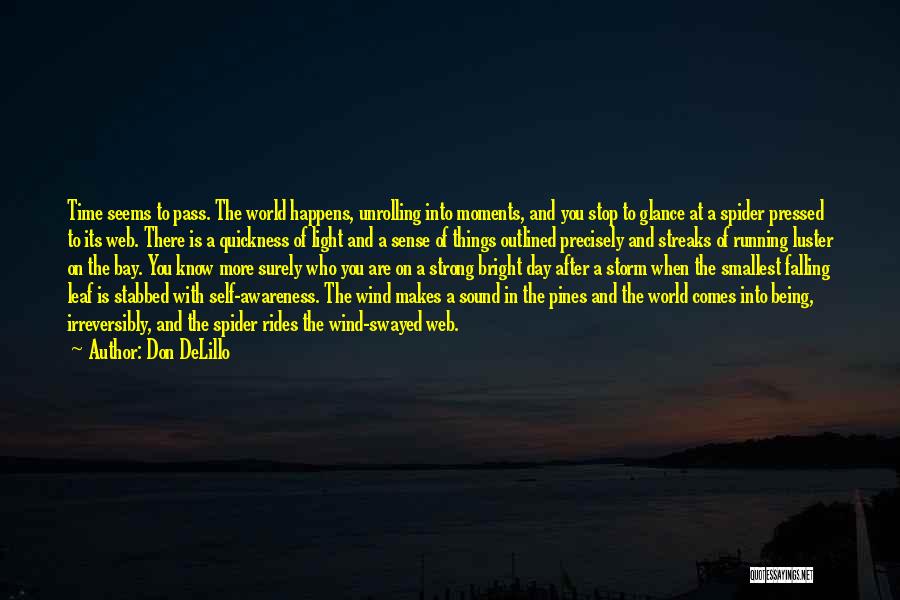 Storm Wind Quotes By Don DeLillo