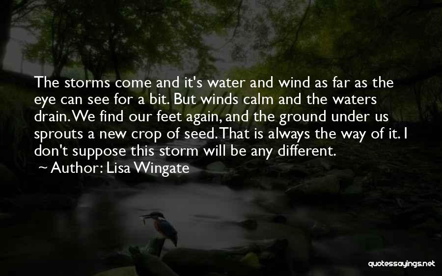 Storm Wind Quotes By Lisa Wingate