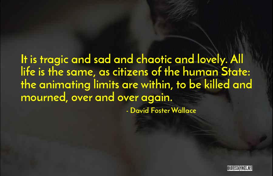 Stormbreaker Axe Quotes By David Foster Wallace Stormbreaker Axe Quotes By David Foster Wallace