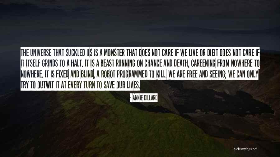 Stormester Quotes By Annie Dillard Stormester Quotes By Annie Dillard
