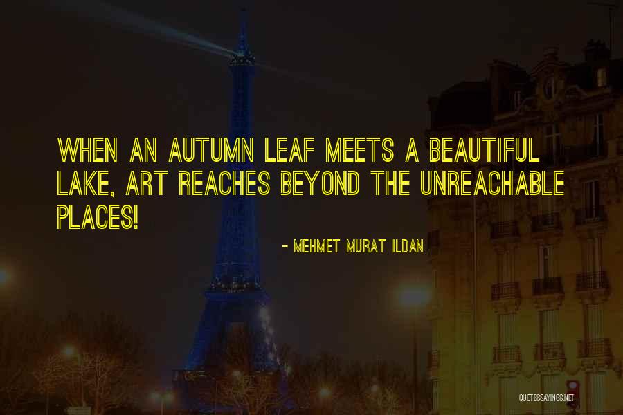 Stormfurs Quotes By Mehmet Murat Ildan Stormfurs Quotes By Mehmet Murat Ildan