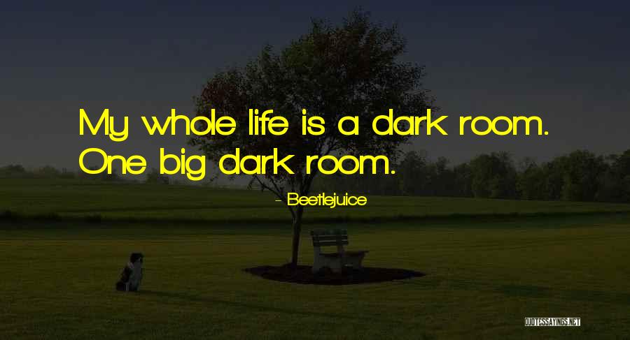 Stormguard Portal Quotes By Beetlejuice Stormguard Portal Quotes By Beetlejuice