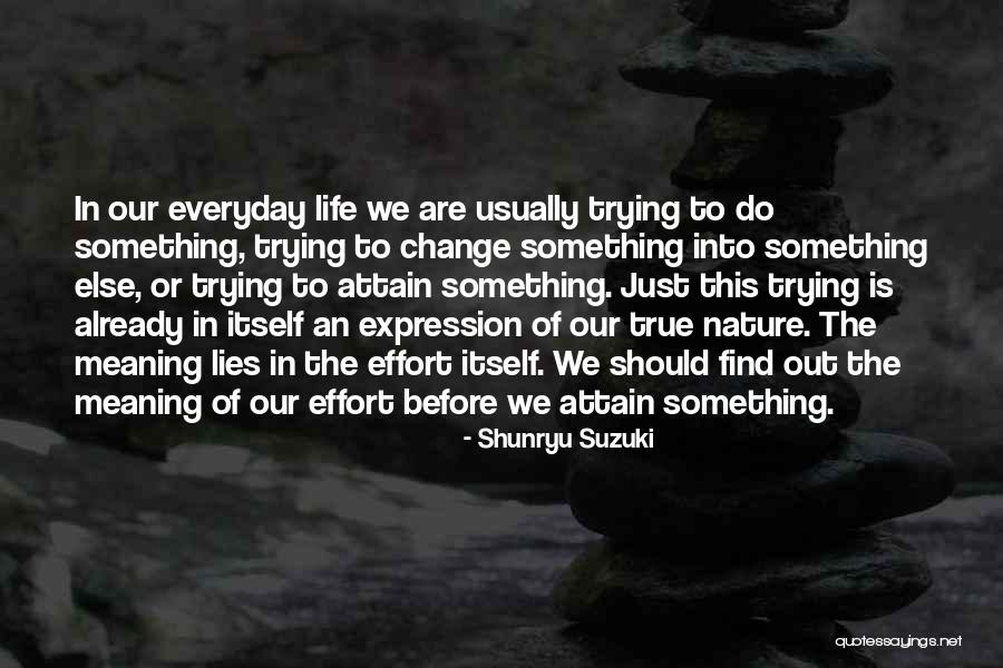 Stormies World Quotes By Shunryu Suzuki Stormies World Quotes By Shunryu Suzuki