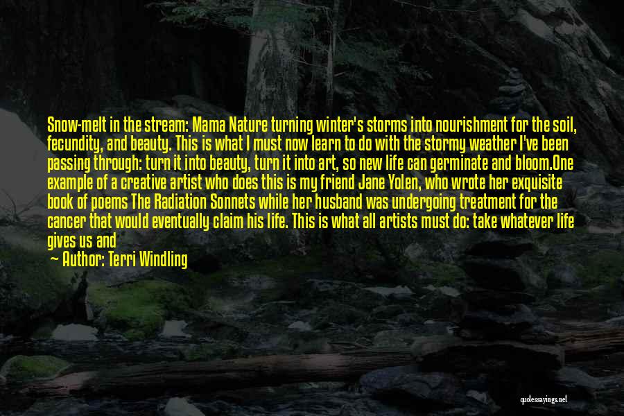 Storms And Beauty Quotes By Terri Windling