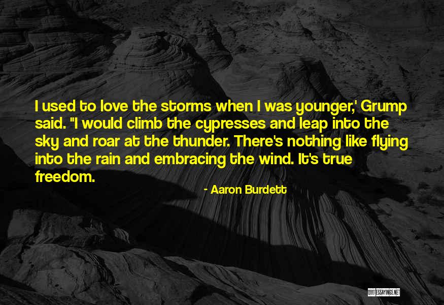 Storms And Love Quotes By Aaron Burdett