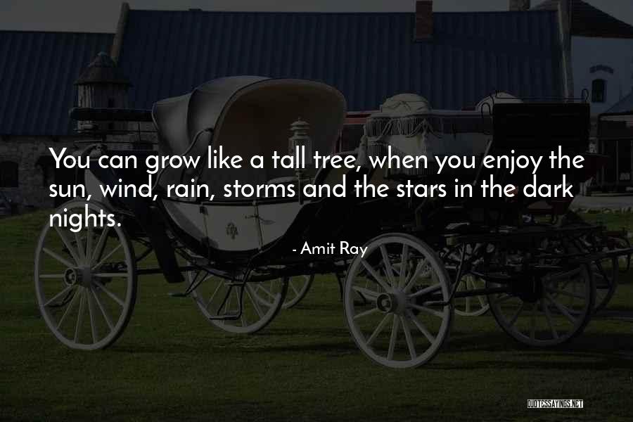 Storms And Rain Quotes By Amit Ray