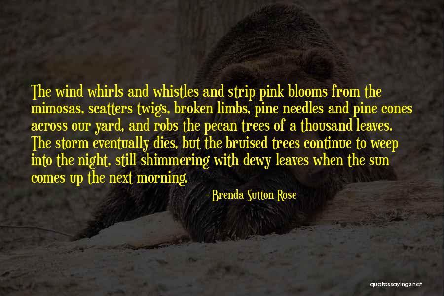 Storms And Rain Quotes By Brenda Sutton Rose Storms And Rain Quotes By Brenda Sutton Rose