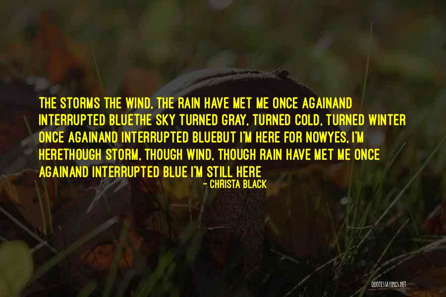 Storms And Rain Quotes By Christa Black