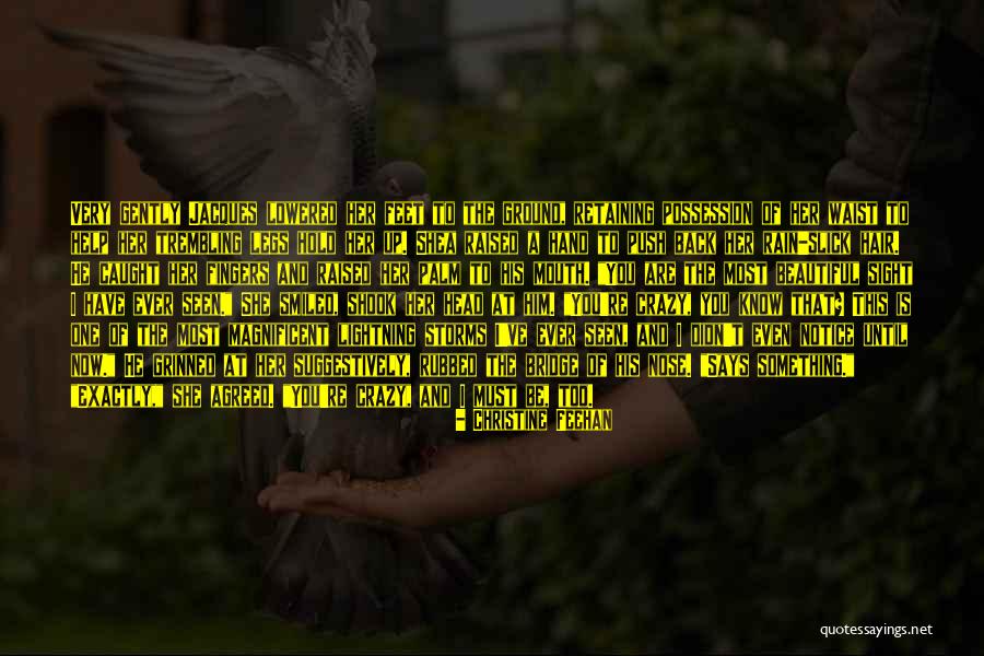 Storms And Rain Quotes By Christine Feehan Storms And Rain Quotes By Christine Feehan