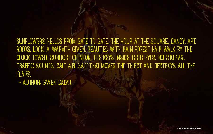 Storms And Rain Quotes By Gwen Calvo