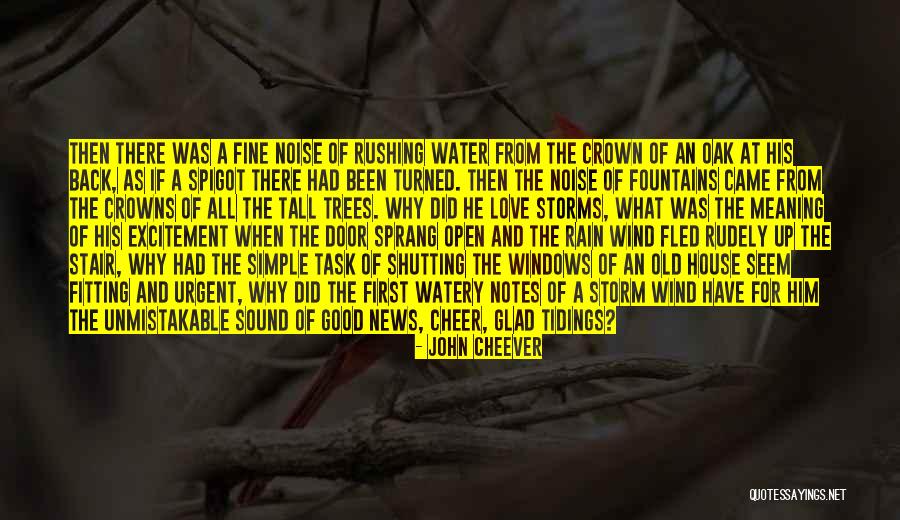 Storms And Rain Quotes By John Cheever Storms And Rain Quotes By John Cheever