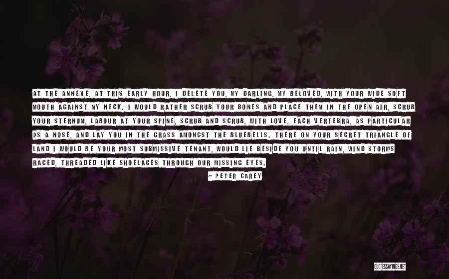 Storms And Rain Quotes By Peter Carey Storms And Rain Quotes By Peter Carey