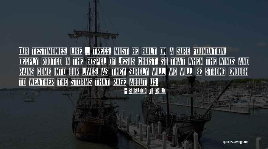 Storms And Rain Quotes By Sheldon F. Child Storms And Rain Quotes By Sheldon F. Child