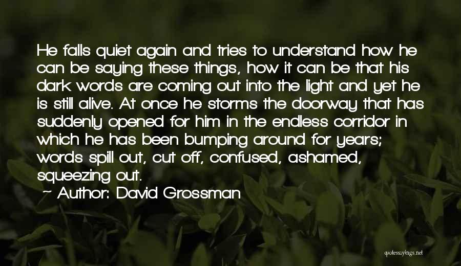 Storms Coming Quotes By David Grossman