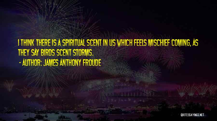 Storms Coming Quotes By James Anthony Froude