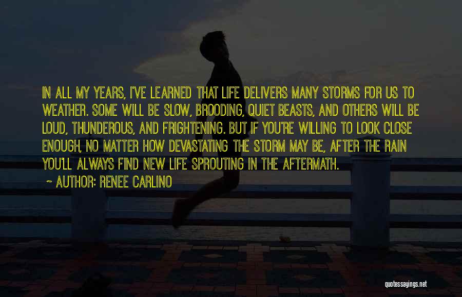 Storms In Life Quotes By Renee Carlino
