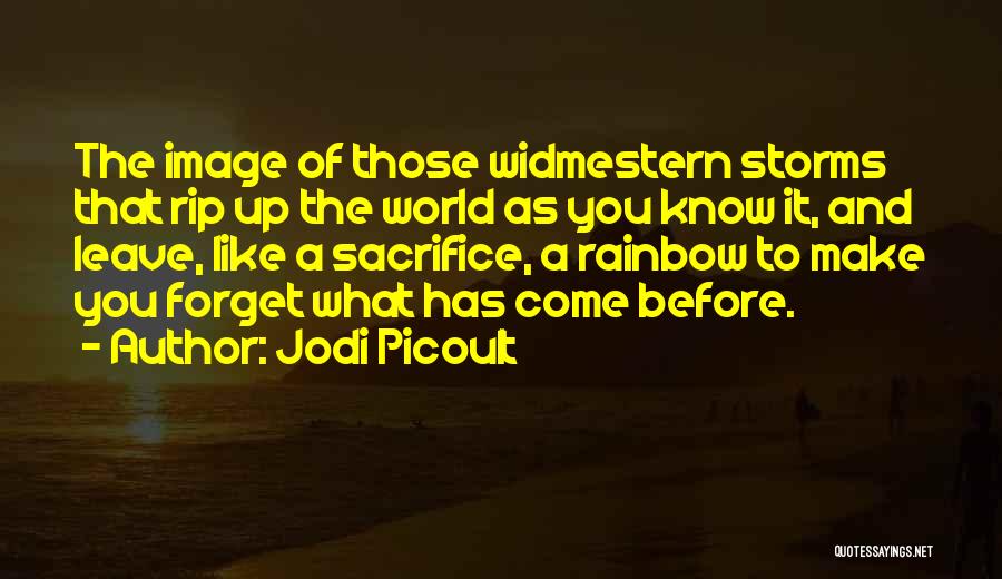 Storms Rainbow Quotes By Jodi Picoult