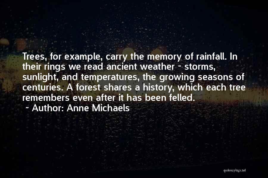 Storms Weather Quotes By Anne Michaels