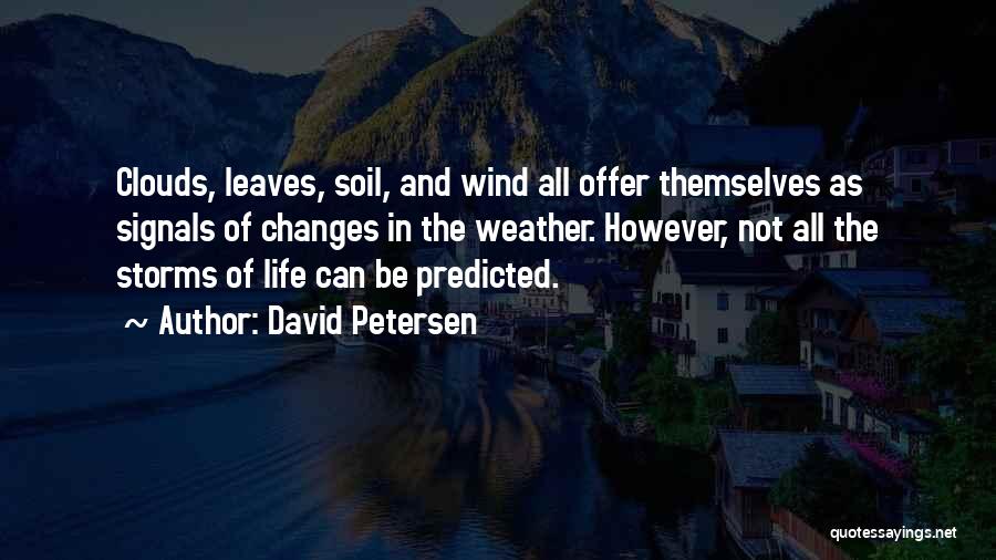 Storms Weather Quotes By David Petersen