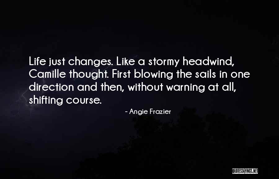 Stormy Life Quotes By Angie Frazier