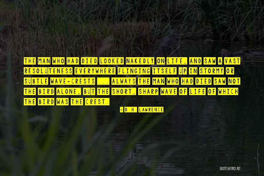 Stormy Life Quotes By D.H. Lawrence Stormy Life Quotes By D.H. Lawrence
