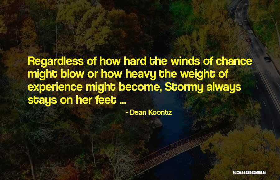 Stormy Life Quotes By Dean Koontz