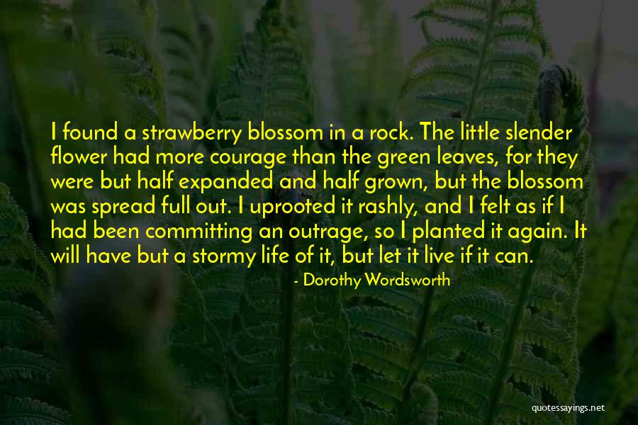Stormy Life Quotes By Dorothy Wordsworth Stormy Life Quotes By Dorothy Wordsworth