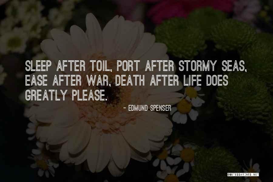 Stormy Life Quotes By Edmund Spenser