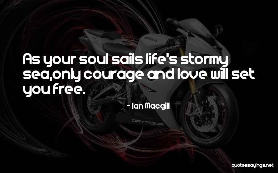 Stormy Life Quotes By Ian Macgill