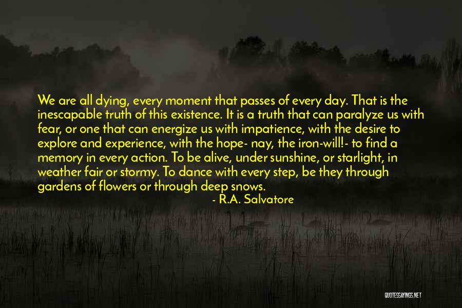 Stormy Life Quotes By R.A. Salvatore Stormy Life Quotes By R.A. Salvatore