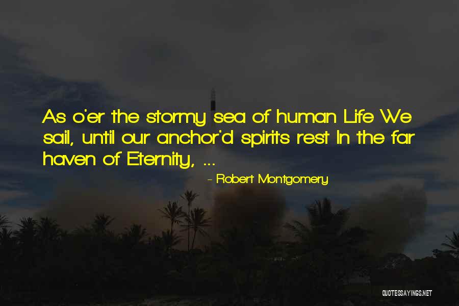 Stormy Life Quotes By Robert Montgomery