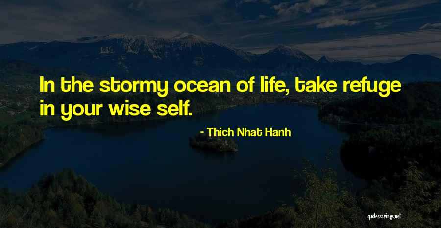 Stormy Life Quotes By Thich Nhat Hanh