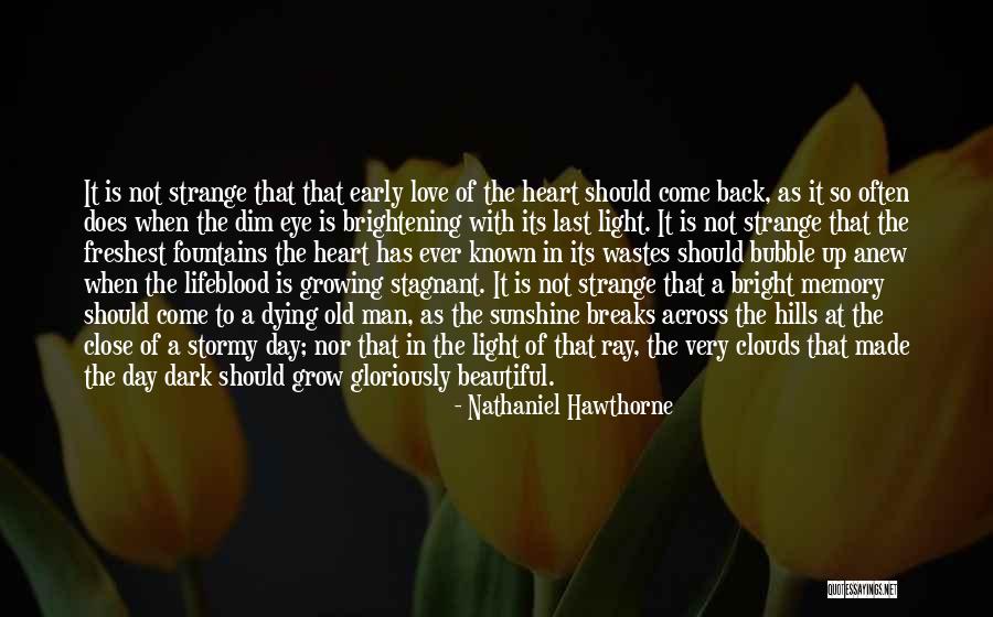 Stormy Love Quotes By Nathaniel Hawthorne