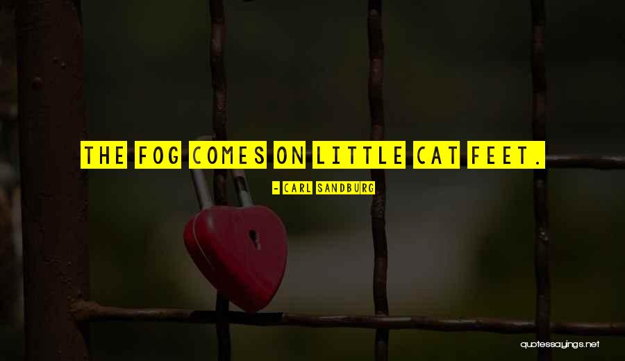 Stormy Ocean Quotes By Carl Sandburg Stormy Ocean Quotes By Carl Sandburg