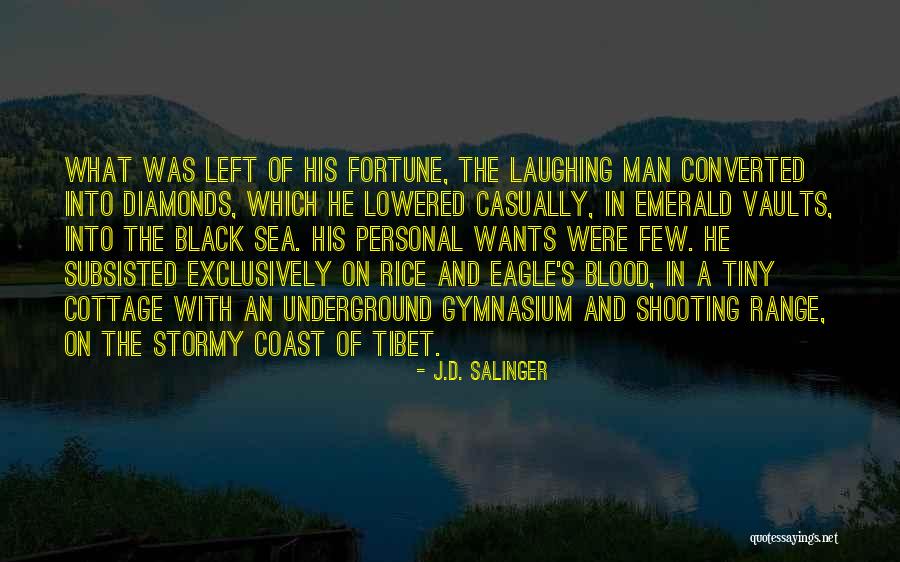 Stormy Quotes By J.D. Salinger Stormy Quotes By J.D. Salinger