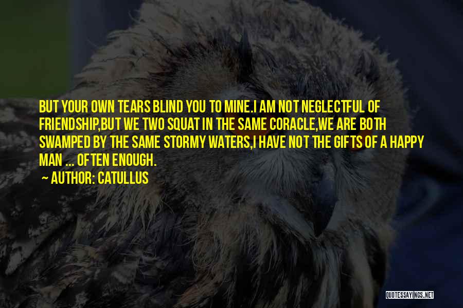 Stormy Waters Quotes By Catullus